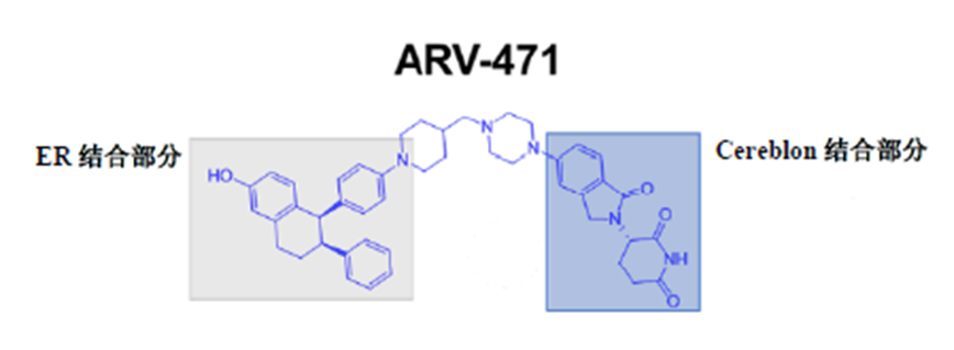 卵白降解新药，中国进3期临床